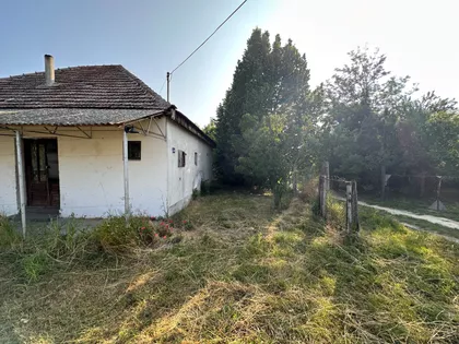 Grožđa 94C | 4zida.rs