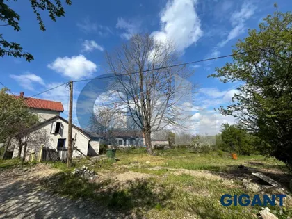 Afi Ekong | 4zida.rs