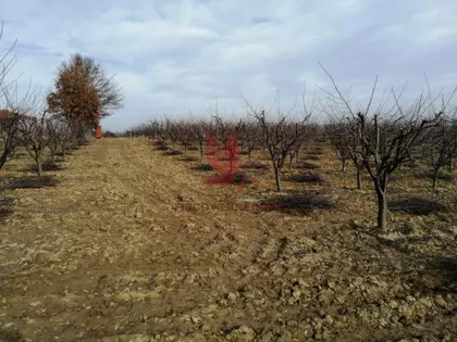 Koraćica | 4zida.rs