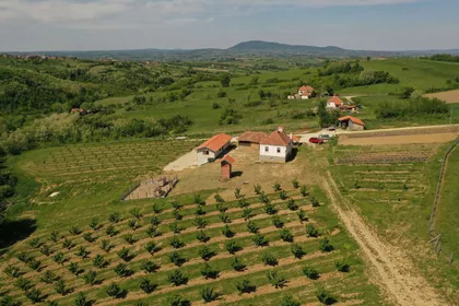 Zadružna Ulica | 4zida.rs