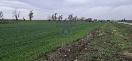 Novi Futog | 4zida.rs