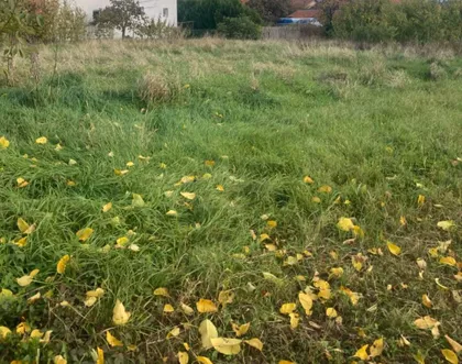 Vinogradi | 4zida.rs