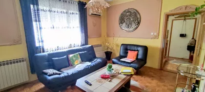 Profesora Vasića | 4zida.rs