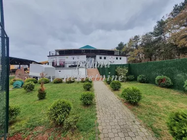 Šumarice