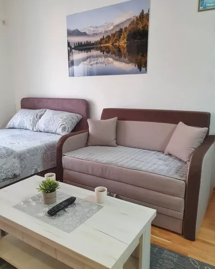Boška Buhe 1V | 4zida.rs