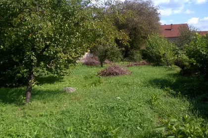 Žikice Jovanovića Španca | 4zida.rs