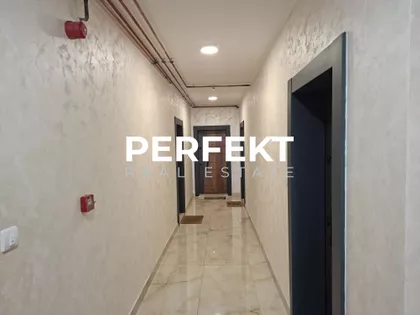 Lava Tolstoja | 4zida.rs