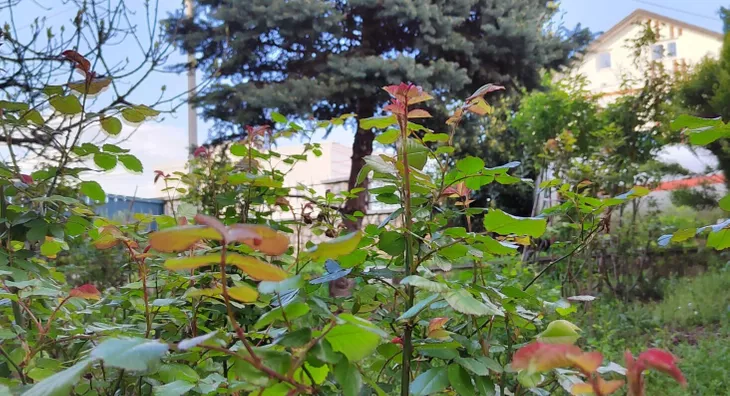 4-etažna kuća | 4zida