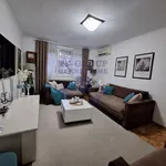 Stara Detelinara, Detelinara, Gradske lokacije, Novi Sad | 4zida.rs | 4zida.rs