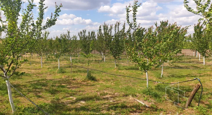 Poljoprivredno zemljište | 4zida