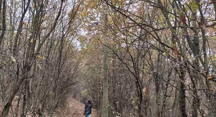 Poljoprivredno zemljište | 4zida