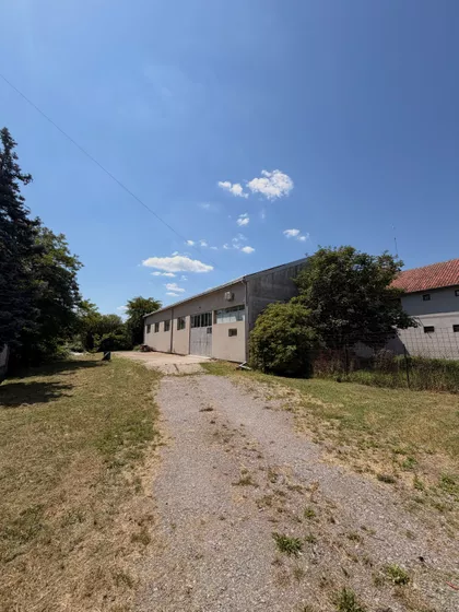 Svetozara Šemića | 4zida.rs