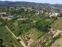 Sremska Kamenica, Gradske lokacije, Novi Sad | 4zida.rs