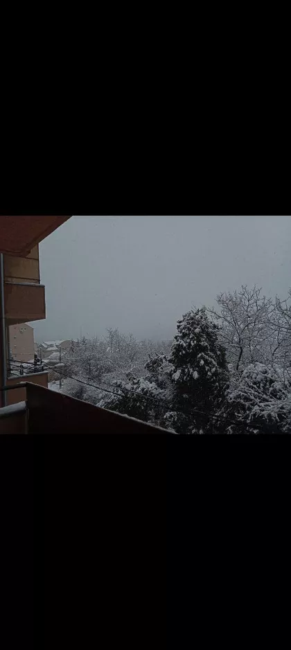 Muminovačka 19 | 4zida.rs