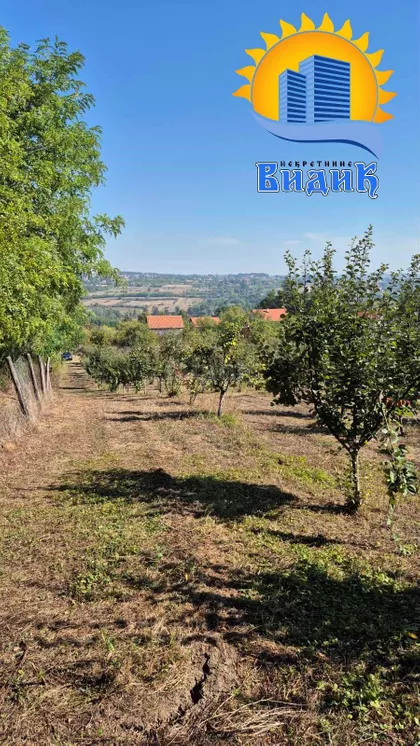 Ljube Bogosavljevića | 4zida.rs