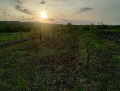 Leštane | 4zida.rs