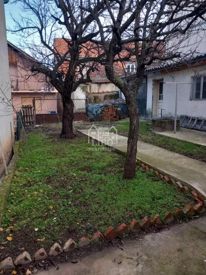 Pasjačka | 4zida.rs