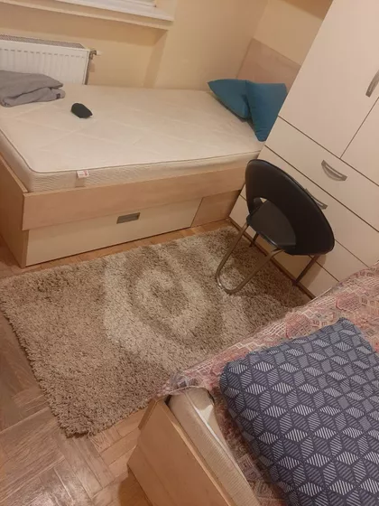 Bore Prodanovića | 4zida.rs