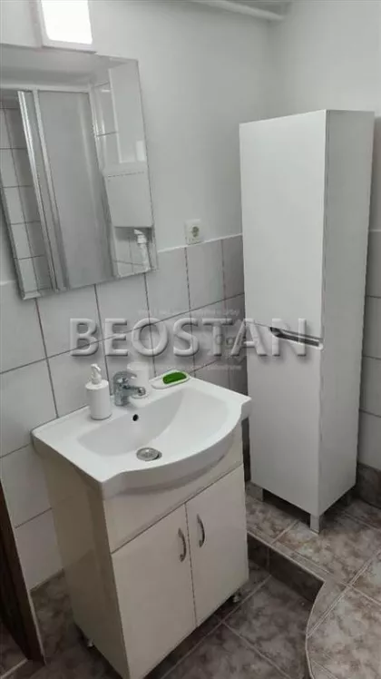 Svetozara Miletica | 4zida.rs