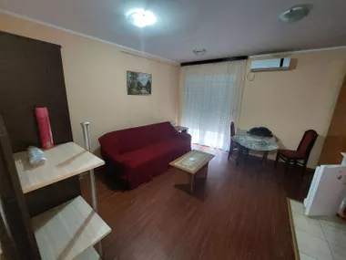 Svetozara Markovića