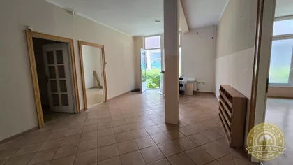 Vase Pelagića | 4zida.rs