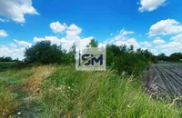 Plac | 4zida
