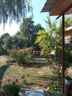 Opština Zrenjanin, Melenci | 4zida.rs