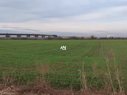 Potez Krčevine | 4zida.rs