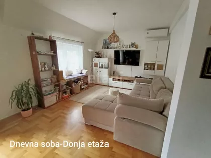 Davida Pajića | 4zida.rs