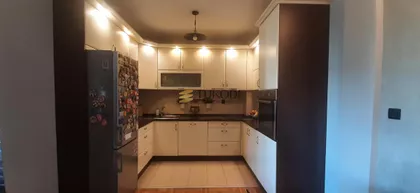 Dr.Svetislava Kasapinovića | 4zida.rs