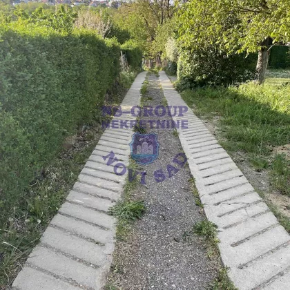 Alibegovac | 4zida.rs