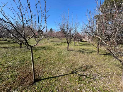 Zanoš | 4zida.rs