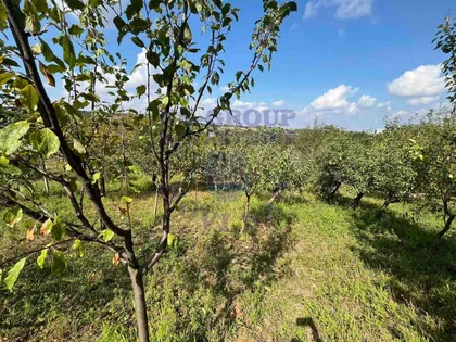 Alibegovac | 4zida.rs