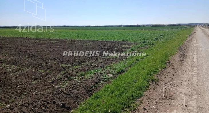 Plac | 4zida