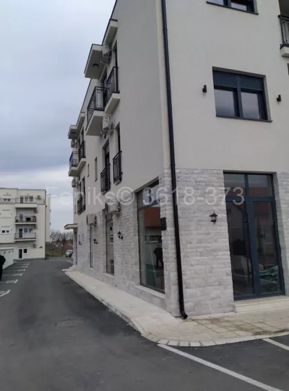 Žarka Samardžića | 4zida.rs