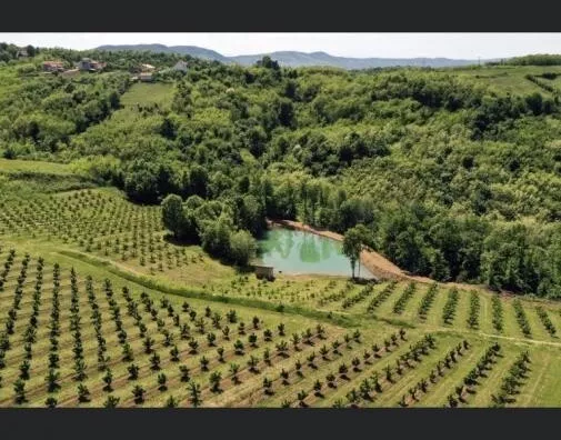 Poljoprivredno zemljište | 4zida