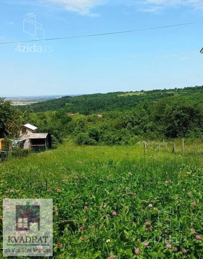 Plac | 4zida