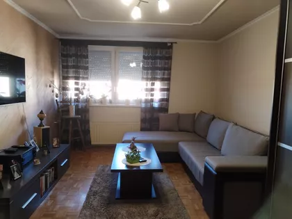 Beogradski Put | 4zida.rs