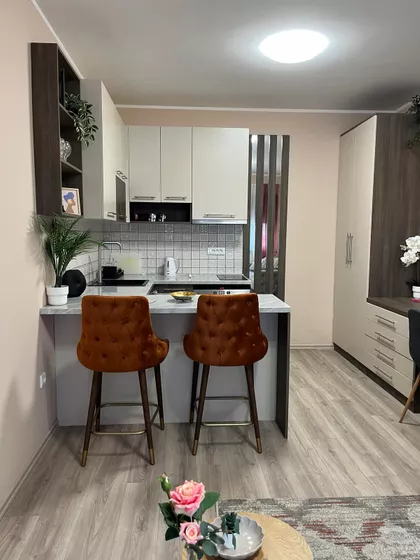 Janka Čmelika | 4zida.rs