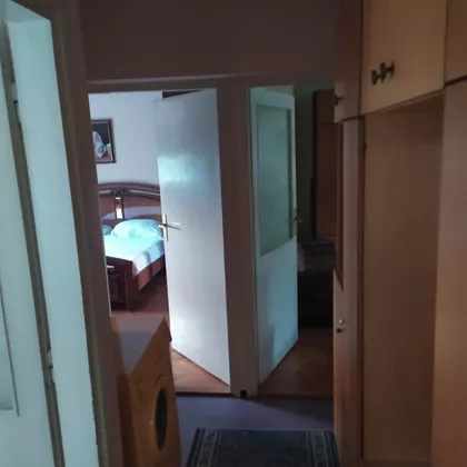 Stara Detelinara | 4zida.rs