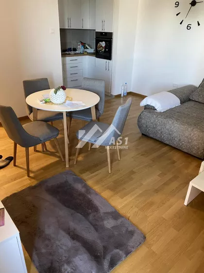 Put Doktora Goldmana | 4zida.rs