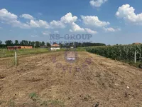 Rumenka, Okolne lokacije, Novi Sad | 4zida.rs