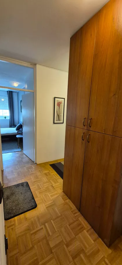 Dušana Vukasovića | 4zida.rs