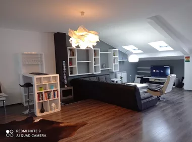 Zivka Davidovica 114