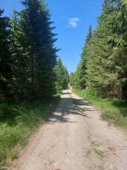 Crna Glava | 4zida.rs