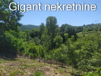 Niš - Palilula | 4zida.rs