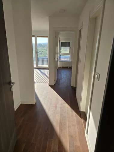 Majora Vladana Mikićevića