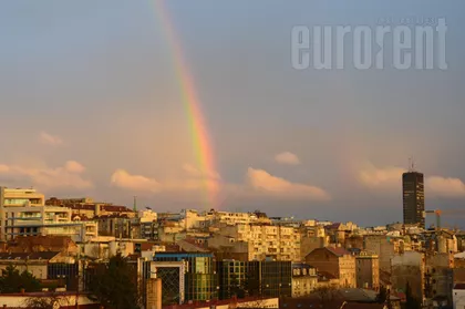 ZELENI VENAC | 4zida.rs