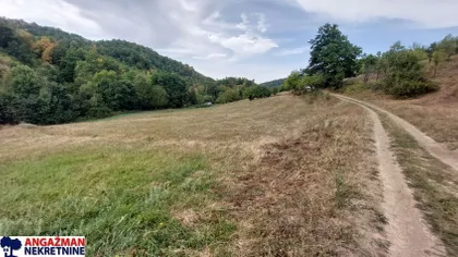 Svetosavska | 4zida.rs