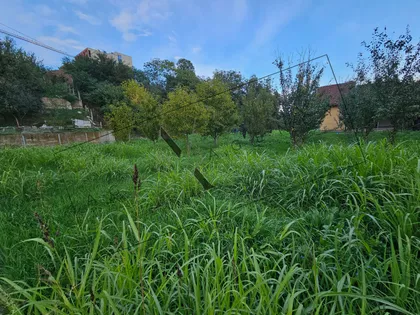 Sijaće Polje | 4zida.rs